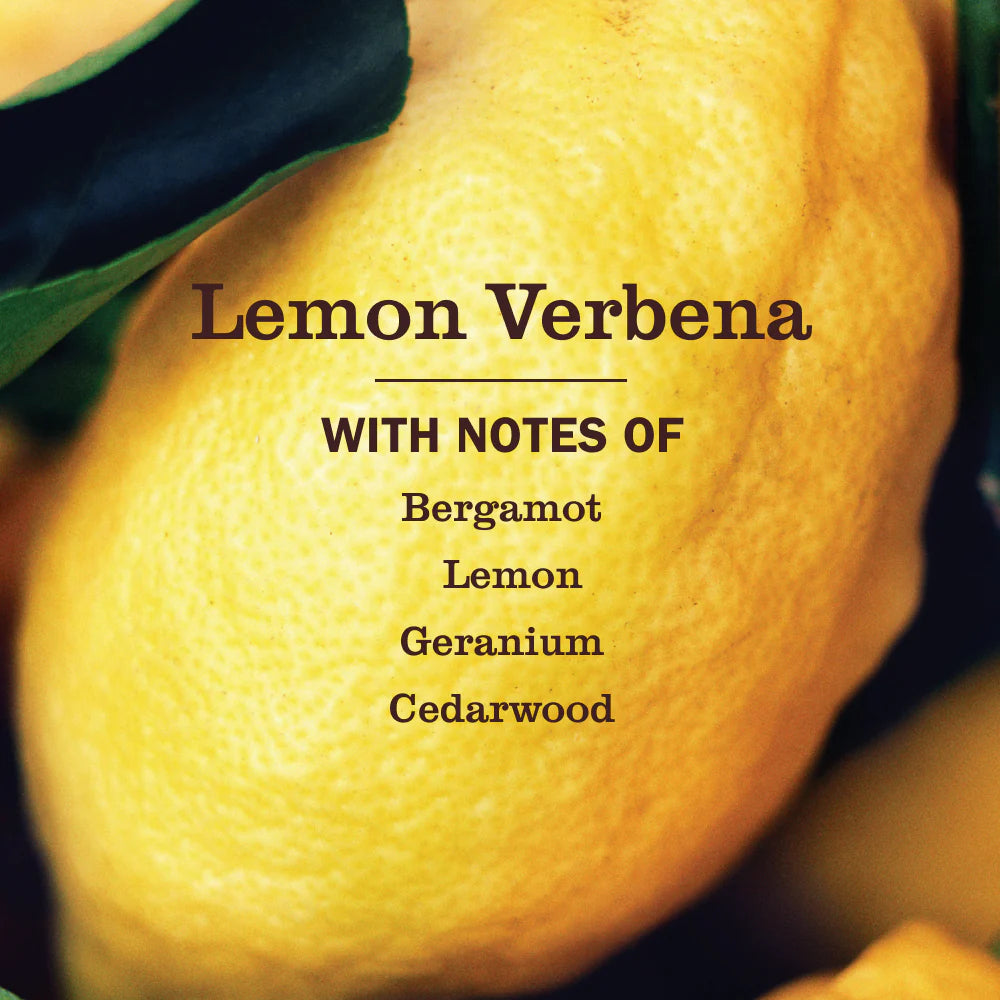 Mrs Meyers Lemon Verbena Liquid Hand Soap
