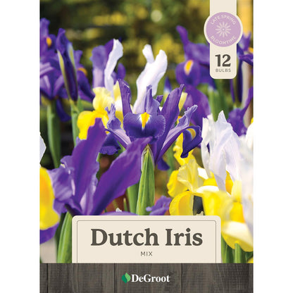 Dutch Iris Bulbs