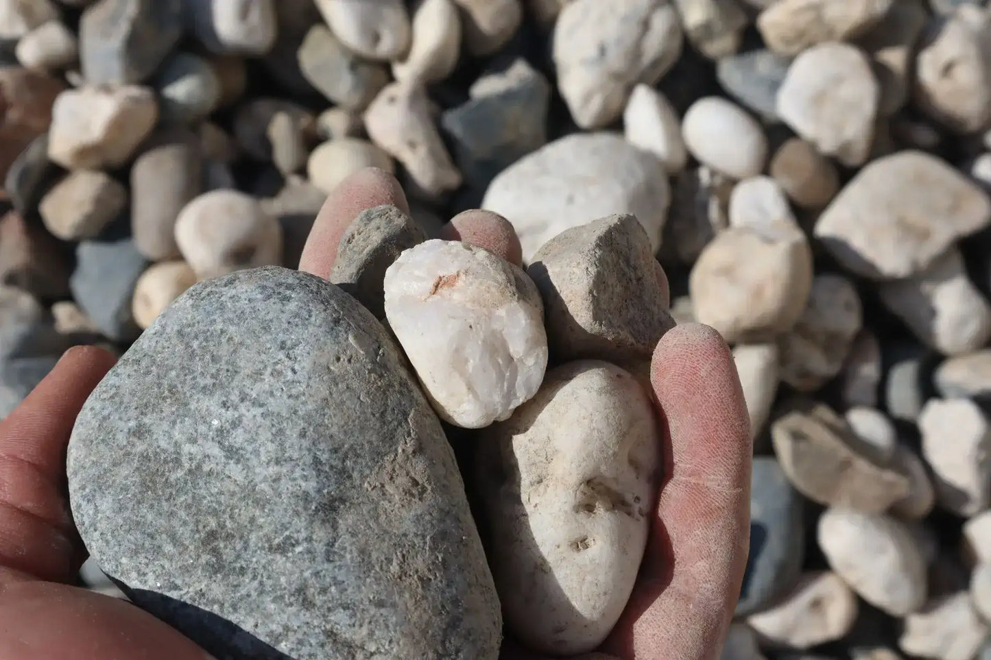 1 1/2" Salt & Pepper