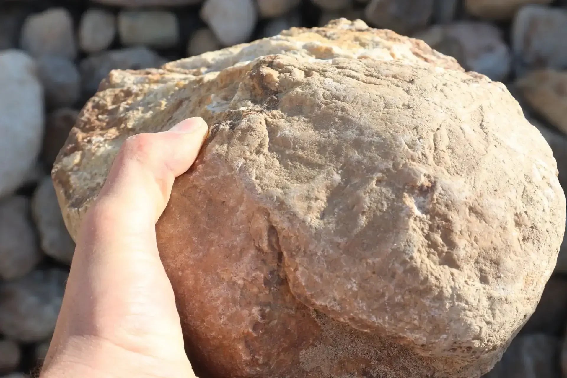 3-8" Sunset Gold Random Cobble