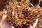 Shredded Redwood Mulch (Gorilla Hair)