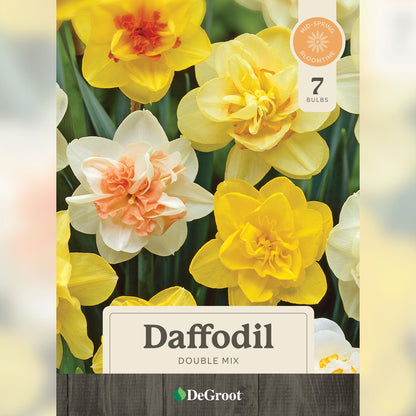Double Mix Daffodils Bulbs