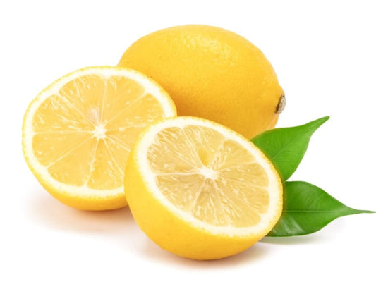 Lemon ‘Meyer Espallier’