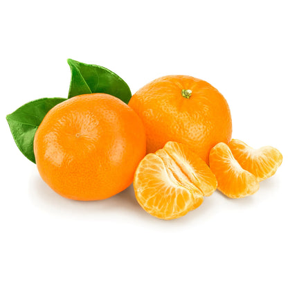 Mandarin 'Owari Satsuma'