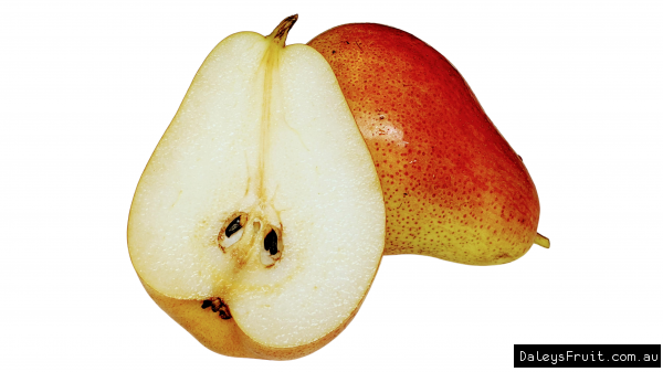 Pear 'Sensation'
