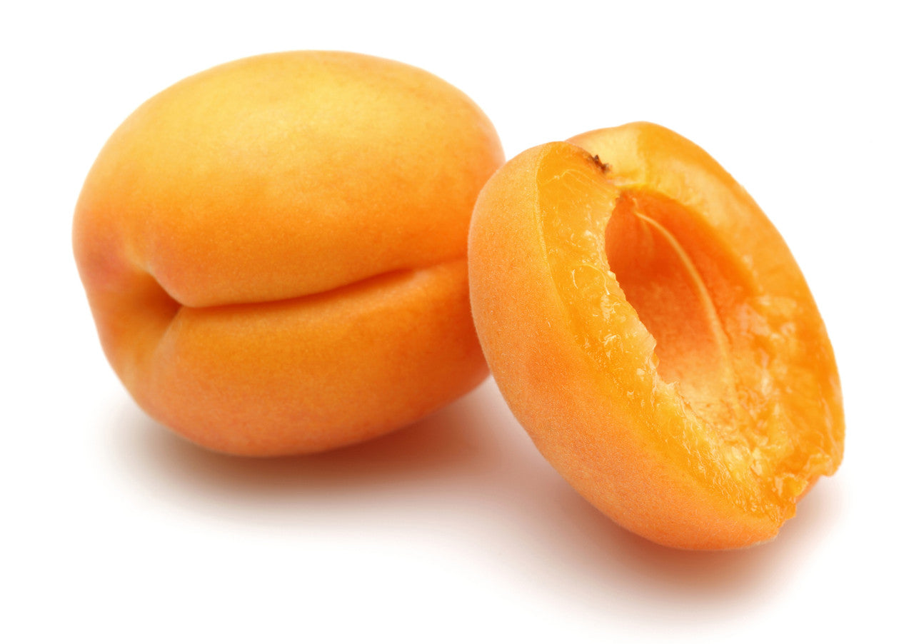 Apricot 'Tilton'
