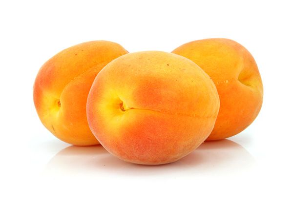 Apricot 'Royal Blenheim'