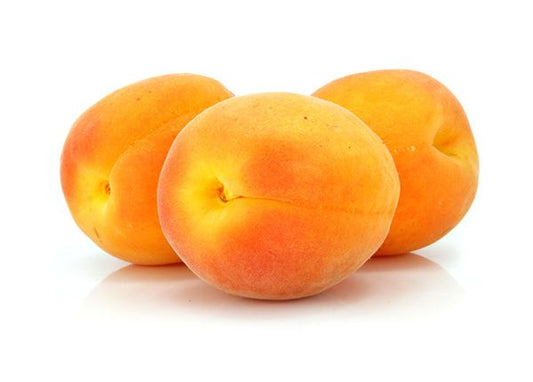 Apricot 'Royal Blenheim'