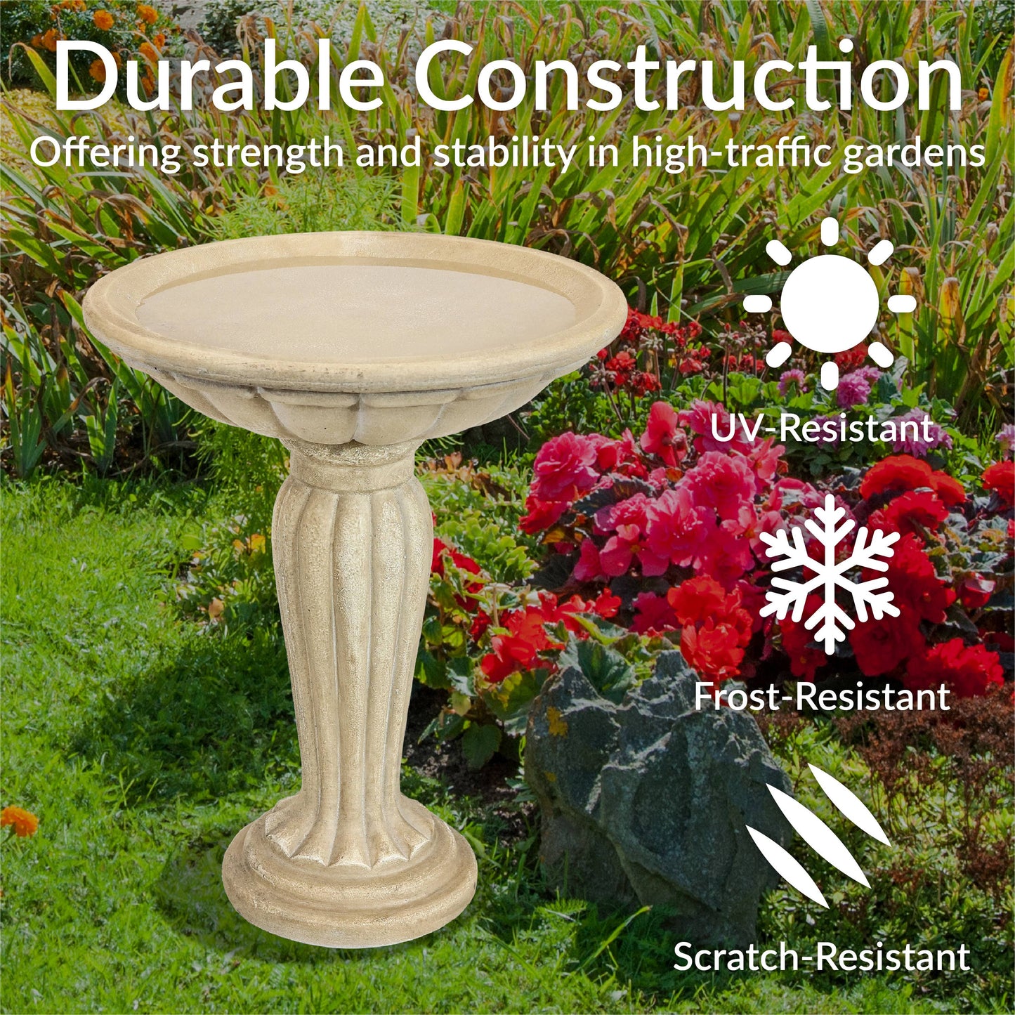 Grecian Reinforced Concrete Bird Bath - 16 in - White