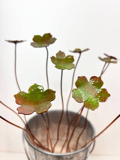 Enamel 5 Petal Flower Stem