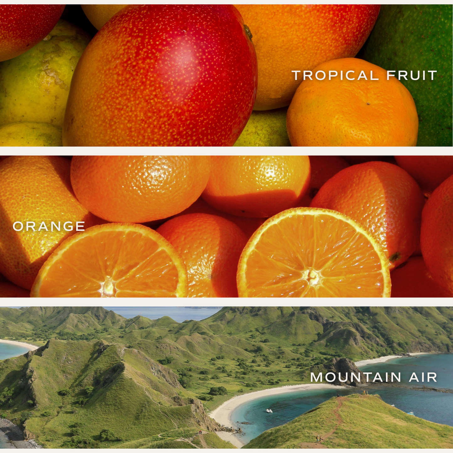 Island Air 11 oz Soy Candle - Home Decor & Gifts