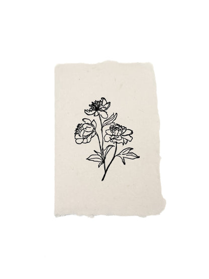 Peony stems