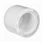 1" Cap FPT