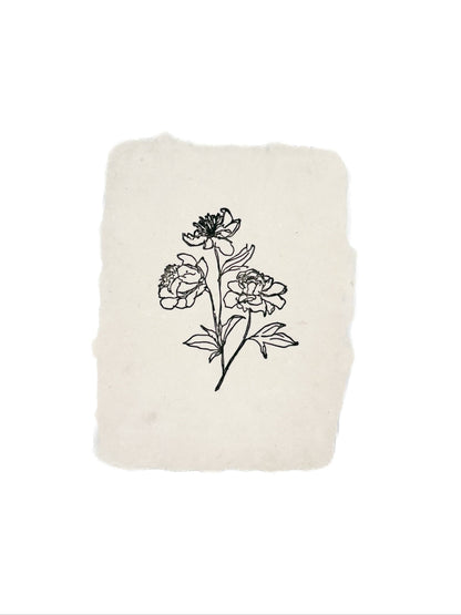 Peony stems