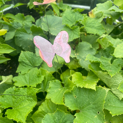 Medium Natural Copper Butterfly