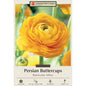 Yellow Persian Buttercups Ranunculus Bulbs