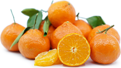 Mandarin 'Tahoe Gold'