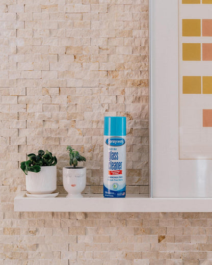 Sprayway Glass Cleaner Foaming Aerosol Spray 19oz