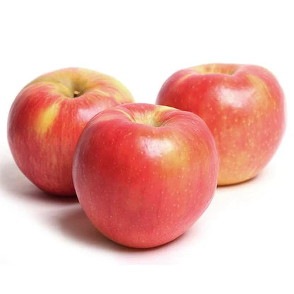 Apple 'Honey Crisp'