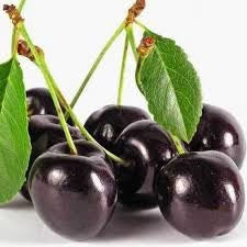Cherry 'Black Tartarian'