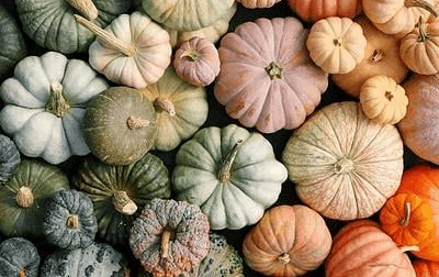 Antique Shade Pumpkin