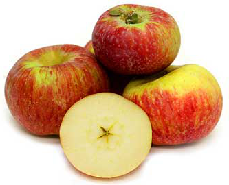 Apple 'Gravenstein'